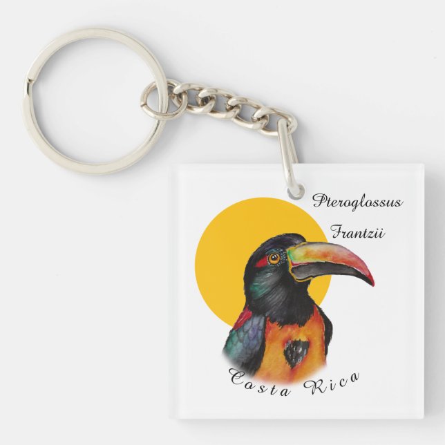Watercolor toucan key ring (Front)