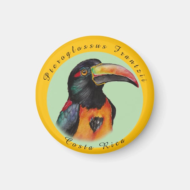 Watercolor toucan magnet (Front)