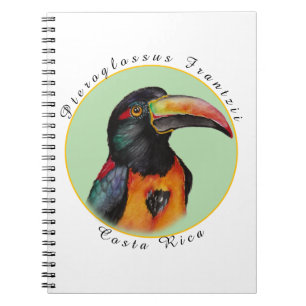 Watercolor toucan notebook