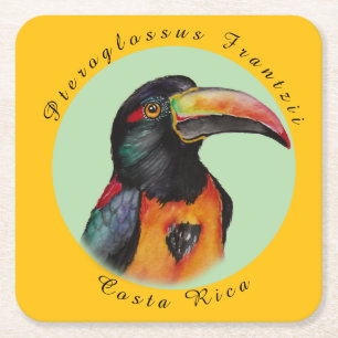 Watercolor toucan square paper coaster