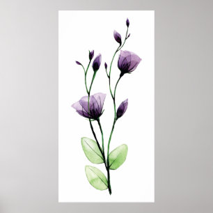Watercolor transparent wild rose flower poster