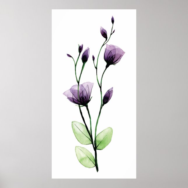 Watercolor transparent wild rose flower poster (Front)