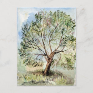 Watercolor tree postcard