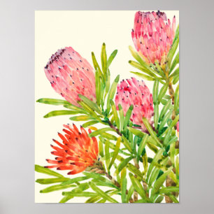 Watercolor Tropical Flowers Poster