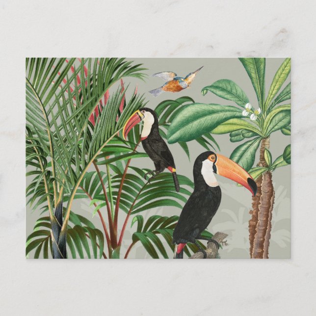 Watercolor Tropical Forest & Toucan Birds Holiday Postcard (Front)