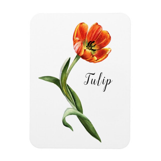 Watercolor Tulip Floral Magnet (Vertical)
