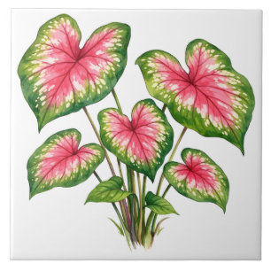 Watercolor Vibrant Pink Caladium Plant Ceramic Tile