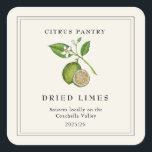 Watercolor Vintage Dried Lime slices  Square Sticker<br><div class="desc">Personalised hand painted watercolor vintage style Dried lime slices square labels on off white background.</div>
