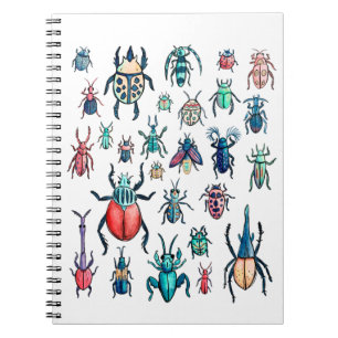 Watercolor vintage style beetle illustration notebook