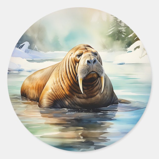Watercolor Walrus Arctic Classic Round Sticker (Front)