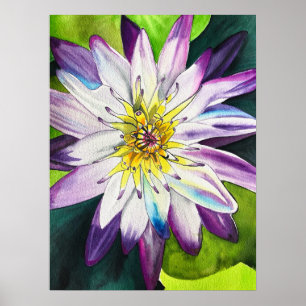 Watercolor water lilies fine art poster