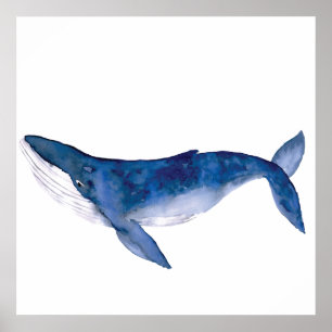 Watercolor whale poster