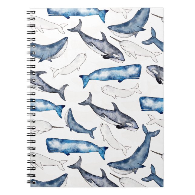 Watercolor Whales Notebook (Front)