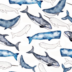 Narwhal Plates Zazzle Au