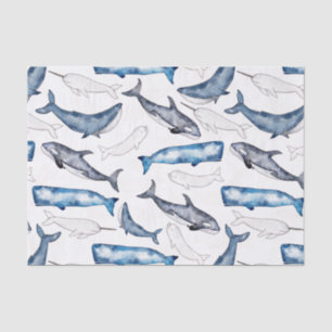 Watercolor Whales Tissue Paper