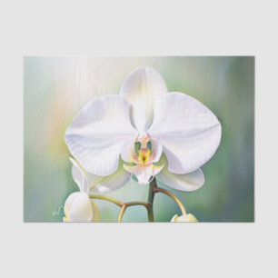Watercolor White Orchid with Delicate Petals  Tissue Paper