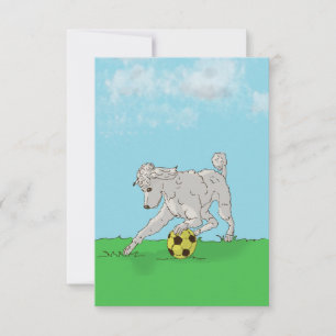Watercolor White Poodle with Soccer Ball Note Card