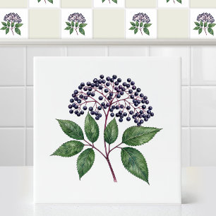 Watercolor Wild Autumn Eldenberry Fruit Branch Ceramic Tile