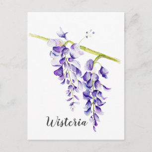 Watercolor Wisteria Botanical Postcard