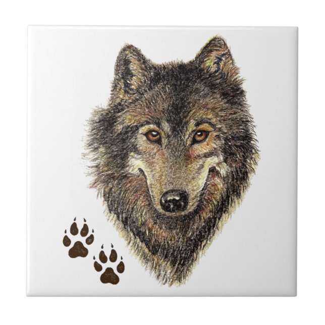 Watercolor Wolf Head Logo & Tracks Canis Lupis Ceramic Tile (Front)
