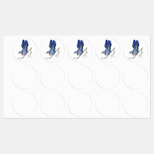 Watercolor woodland bird blue jay (Sheet)