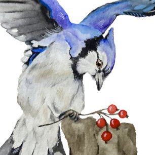 Watercolor woodland bird blue jay