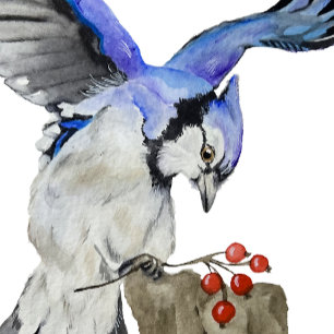 Watercolor woodland bird blue jay baby bodysuit
