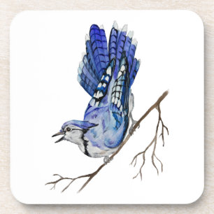 Watercolor woodland bird blue jay coaster