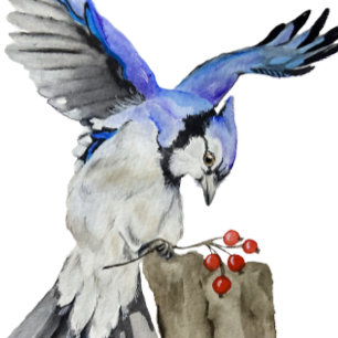 Watercolor woodland bird blue jay cushion
