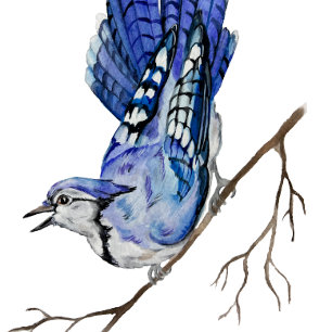 Watercolor woodland bird blue jay invitation