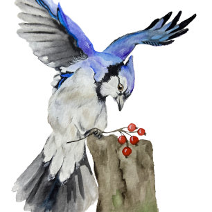 Watercolor woodland bird blue jay luggage tag