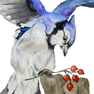 Watercolor woodland bird blue jay magnet
