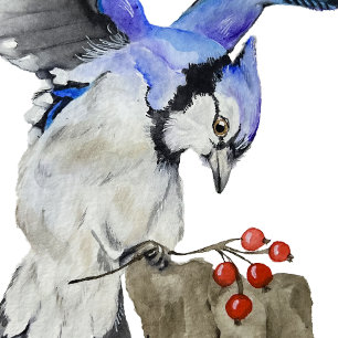 Watercolor woodland bird blue jay planner