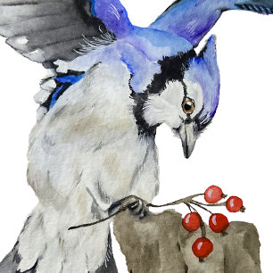Watercolor woodland bird blue jay poster