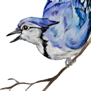 Watercolor woodland bird blue jay square sticker