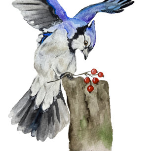 Watercolor woodland bird blue jay T-Shirt
