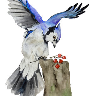 Watercolor woodland bird blue jay T-Shirt