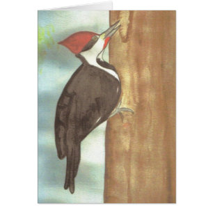 watercolor woodpecker