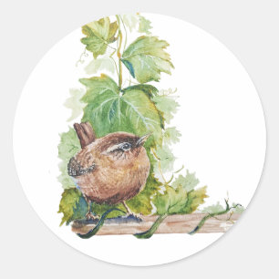 Watercolor Wren Bird Vineyard Grapes Leaves Winery Classic Round Sticker
