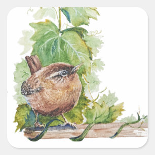 Watercolor Wren Bird Vineyard Grapes Leaves Winery Square Sticker