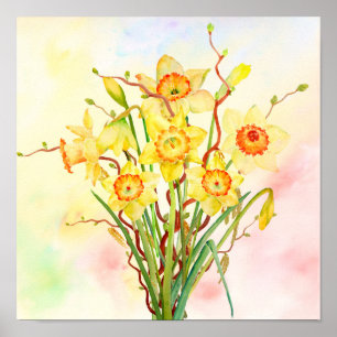 Watercolor Yellow Daffodils Spring Flowers Poster