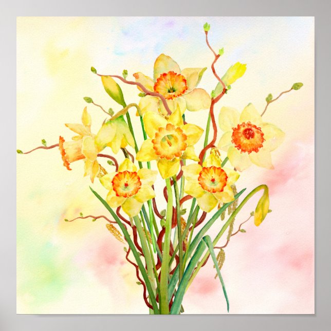 Watercolor Yellow Daffodils Spring Flowers Poster (Front)