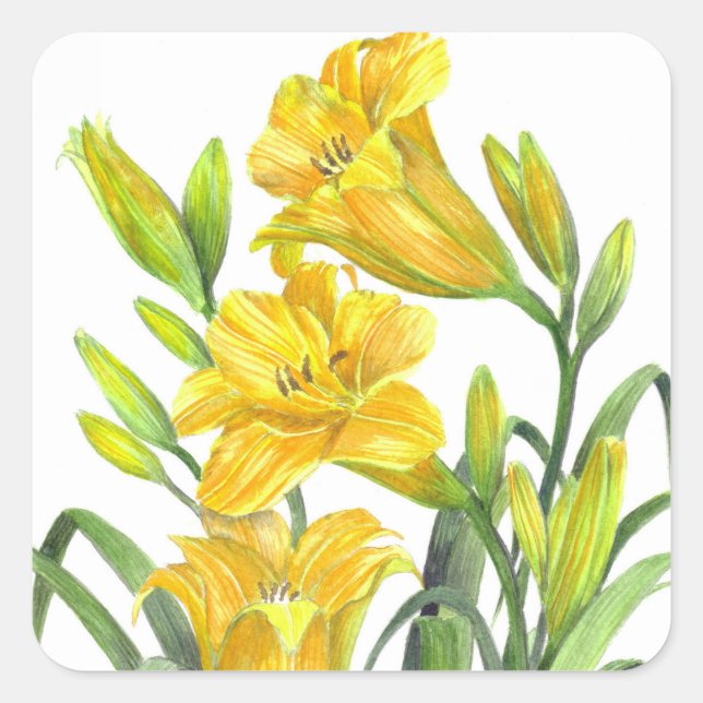 Watercolor Yellow Day Lilies Floral Art Square Sticker (Front)