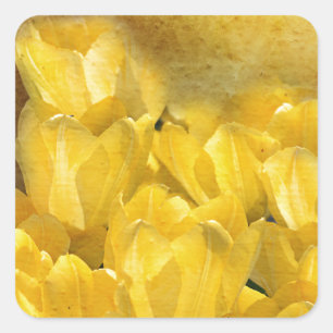Watercolor Yellow Tulips with Chevron Square Sticker
