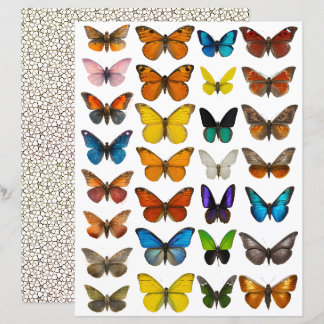 WatercolorButterfly set for fussy cut