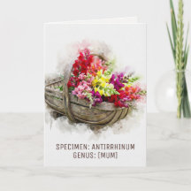 Watercolour Blooms | Snapdragon Witty Mother's Day