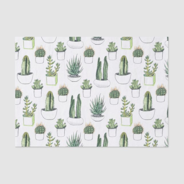 Watercolour Cacti & Succulent Tissue Paper (Front)