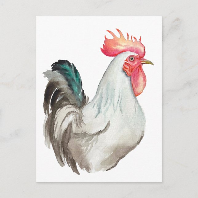Watercolour hand drawing of a Rooster Postcard (Front)