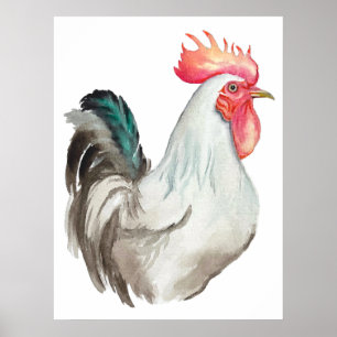 Watercolour hand drawing of a Rooster Poster