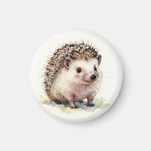  Watercolour Hedgehog Magnet